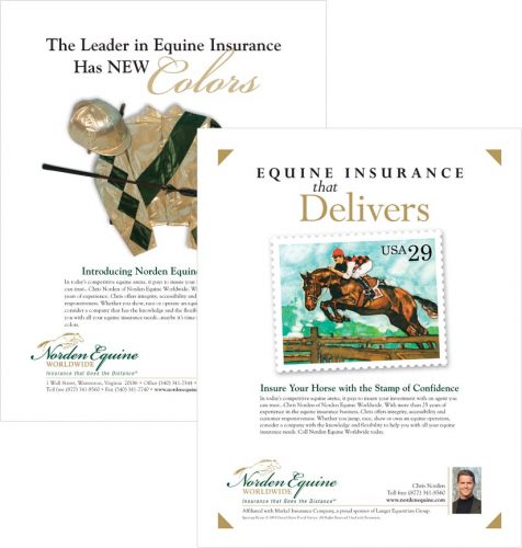 Ad series for Norden Equine Worldwide in Warrenton VA