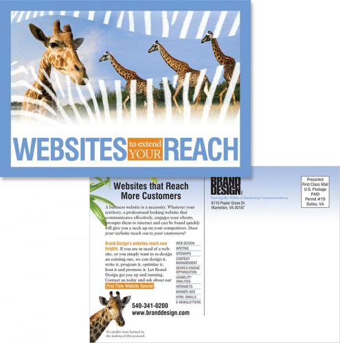 Brand Design, Inc. in Warrenton VA Website Design and Programming Services Postcard